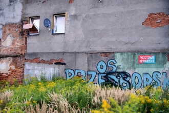 Marek Ambrozik fot.02